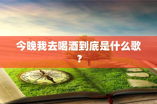 今晚我去喝酒到底是什么歌？