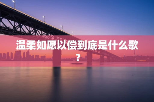 温柔如愿以偿到底是什么歌？
