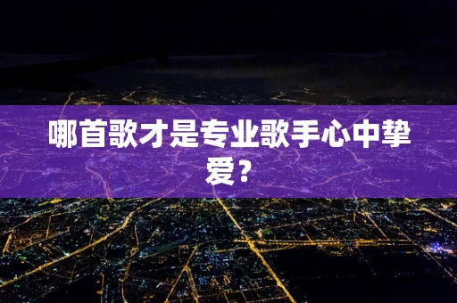 哪首歌才是专业歌手心中挚爱？