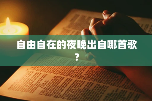自由自在的夜晚出自哪首歌？