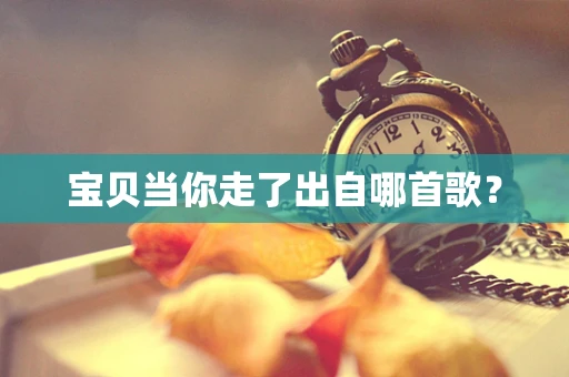 宝贝当你走了出自哪首歌？