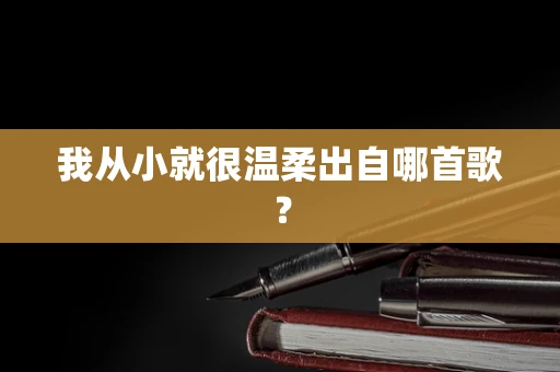 我从小就很温柔出自哪首歌？
