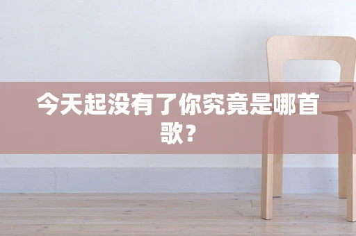 今天起没有了你究竟是哪首歌？