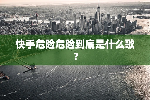 快手危险危险到底是什么歌？