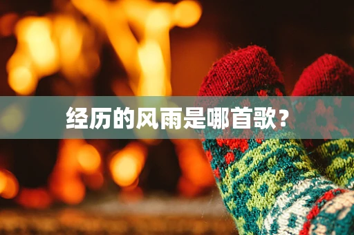 经历的风雨是哪首歌？