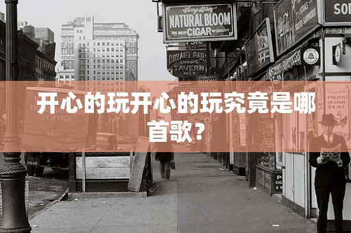 开心的玩开心的玩究竟是哪首歌？