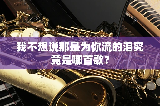 我不想说那是为你流的泪究竟是哪首歌？