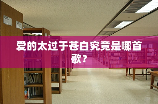 爱的太过于苍白究竟是哪首歌？