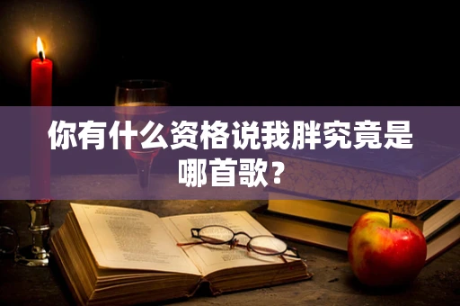 你有什么资格说我胖究竟是哪首歌？