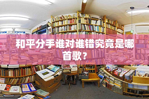 和平分手谁对谁错究竟是哪首歌？