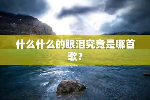 什么什么的眼泪究竟是哪首歌？