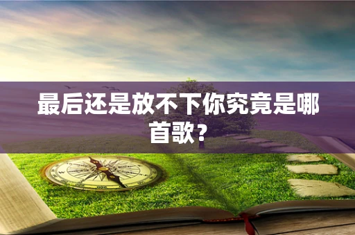 最后还是放不下你究竟是哪首歌？