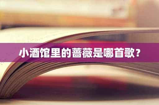 小酒馆里的蔷薇是哪首歌？