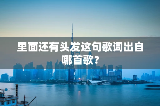 里面还有头发这句歌词出自哪首歌？