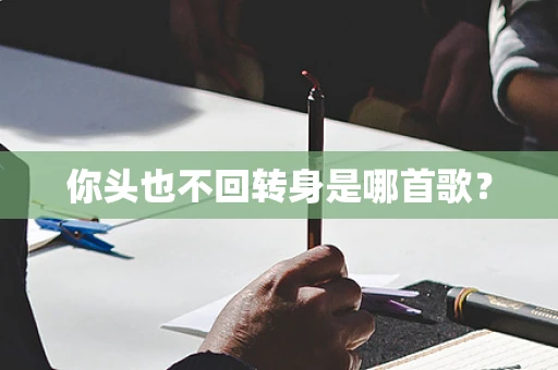 你头也不回转身是哪首歌？