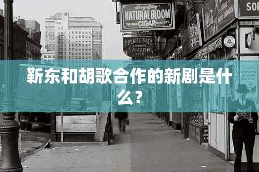 靳东和胡歌合作的新剧是什么？