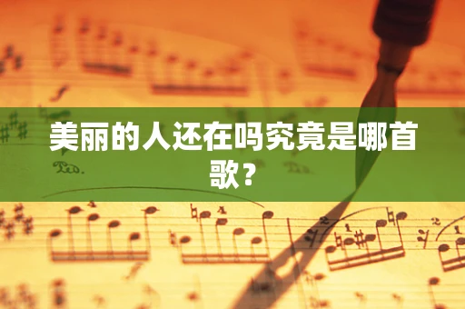 美丽的人还在吗究竟是哪首歌？
