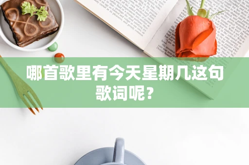 哪首歌里有今天星期几这句歌词呢？