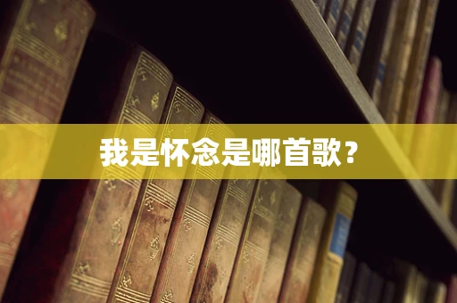 我是怀念是哪首歌？