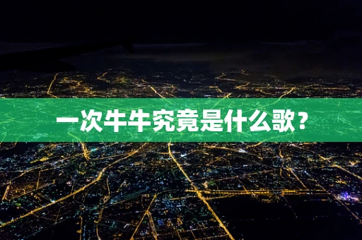一次牛牛究竟是什么歌？
