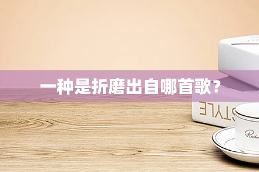 一种是折磨出自哪首歌？