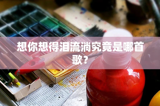 想你想得泪流淌究竟是哪首歌？