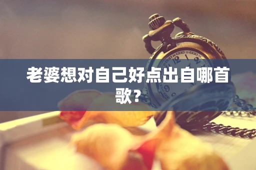 老婆想对自己好点出自哪首歌？