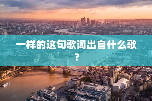 一样的这句歌词出自什么歌？