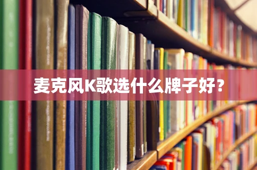 麦克风K歌选什么牌子好？