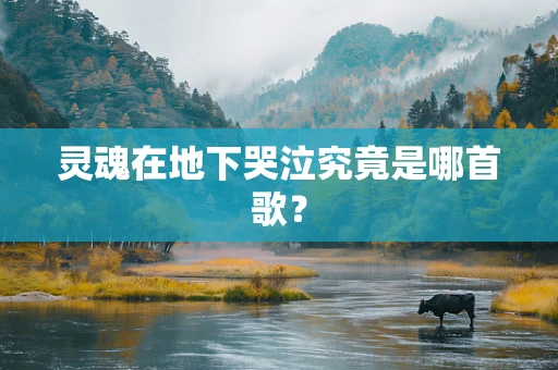 灵魂在地下哭泣究竟是哪首歌？