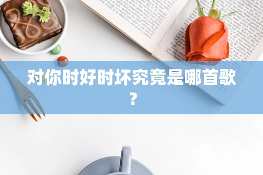对你时好时坏究竟是哪首歌？