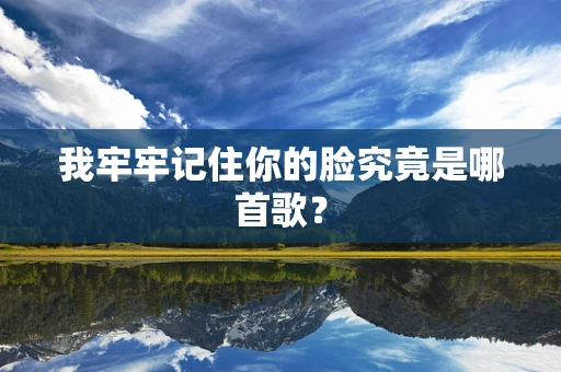 我牢牢记住你的脸究竟是哪首歌？