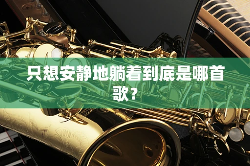 只想安静地躺着到底是哪首歌？