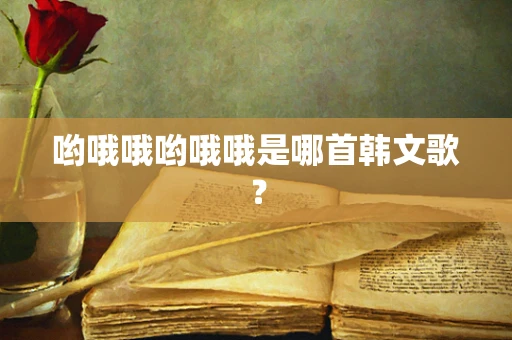 哟哦哦哟哦哦是哪首韩文歌？