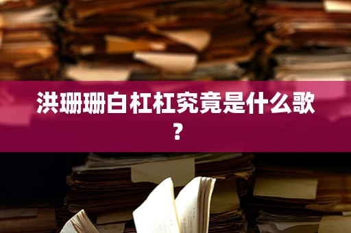 洪珊珊白杠杠究竟是什么歌？