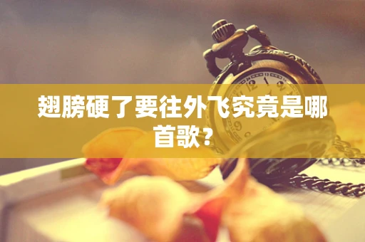 翅膀硬了要往外飞究竟是哪首歌？