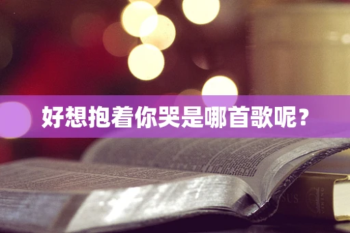 好想抱着你哭是哪首歌呢？