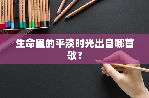 生命里的平淡时光出自哪首歌？