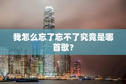 我怎么忘了忘不了究竟是哪首歌？