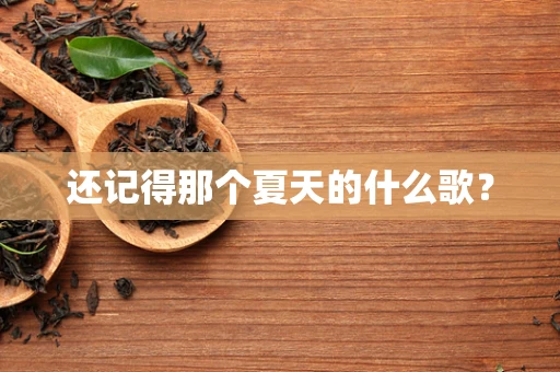 还记得那个夏天的什么歌？