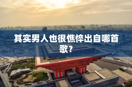 其实男人也很憔悴出自哪首歌？