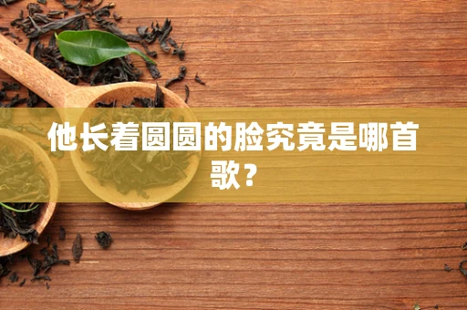 他长着圆圆的脸究竟是哪首歌？