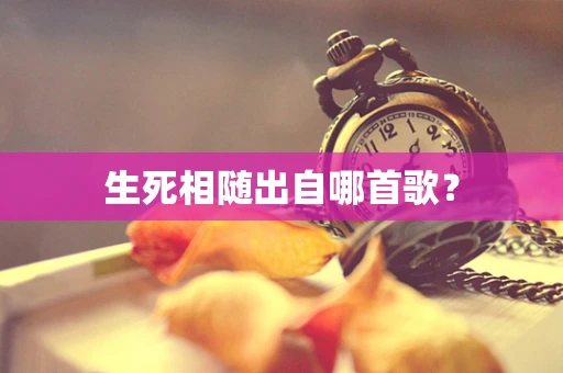 生死相随出自哪首歌？