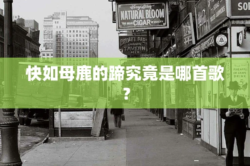 快如母鹿的蹄究竟是哪首歌？