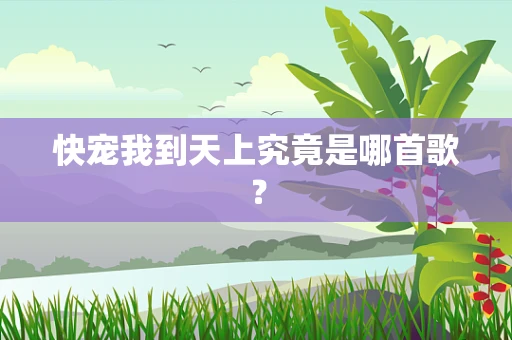 快宠我到天上究竟是哪首歌？