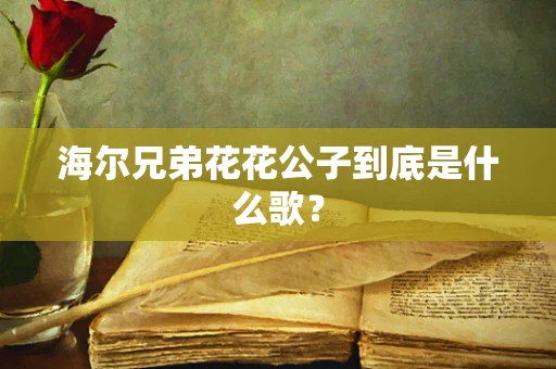 海尔兄弟花花公子到底是什么歌？