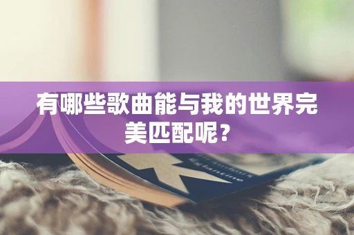 有哪些歌曲能与我的世界完美匹配呢？