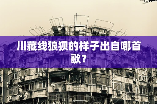 川藏线狼狈的样子出自哪首歌？