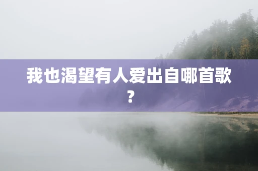 我也渴望有人爱出自哪首歌？