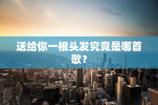 送给你一根头发究竟是哪首歌？
